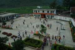 2008 cycad school