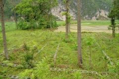 Nursery in 2006