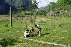 Nursery in 2004